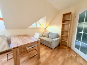 Pronájem pokoje, Praskačka, 28 m2