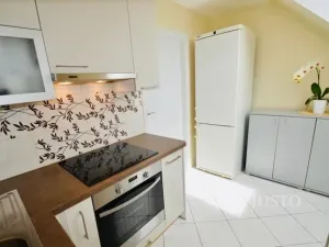 Pronájem pokoje, Praskačka, 28 m2