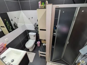Pronájem bytu 1+1, Opava, Hany Kvapilové, 38 m2