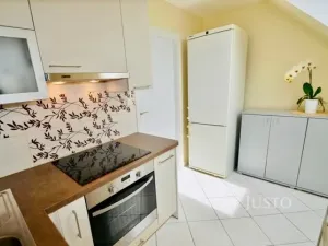 Pronájem pokoje, Praskačka, 24 m2