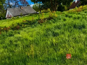 Prodej pozemku pro bydlení, Častolovice, Široká, 2994 m2