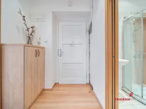 Prodej bytu 2+kk, Hradec Králové - Pražské Předměstí, Horova, 48 m2