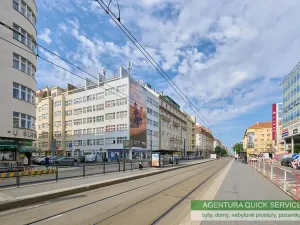 Prodej bytu 2+kk, Praha - Vinohrady, Chrudimská, 113 m2