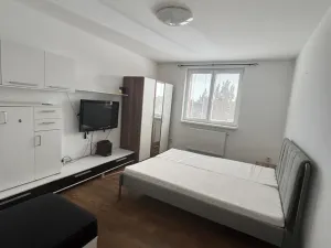 Prodej bytu 1+1, Znojmo, Pražská, 37 m2