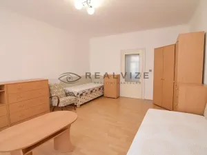 Pronájem bytu 2+kk, České Budějovice, Skuherského, 37 m2