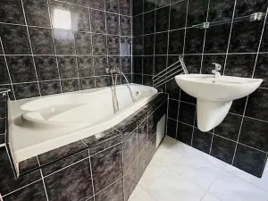Pronájem bytu 5+kk, Praha - Vinohrady, Mánesova, 300 m2