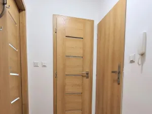 Pronájem bytu 1+1, Ostrava, Bohumínská, 25 m2