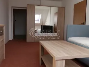 Pronájem bytu 1+1, Bechyně, Libušina, 55 m2