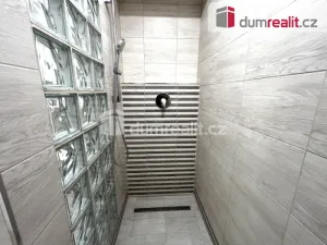 Pronájem bytu 2+kk, Litoměřice - Předměstí, Tylova, 55 m2