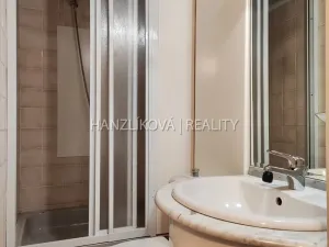 Pronájem bytu 2+1, České Budějovice - České Budějovice 6, Palmová, 54 m2