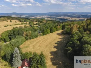 Prodej pozemku pro bydlení, Merklín, 1038 m2