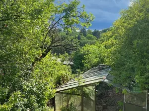 Prodej chaty, Brno, 26 m2