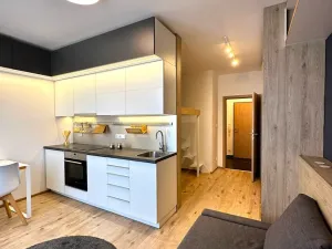 Pronájem bytu 1+kk, Praha - Dolní Měcholupy, Kardausova, 32 m2