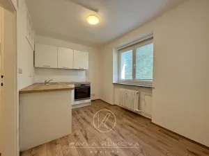 Pronájem bytu 1+1, Plzeň, Kyjevská, 28 m2