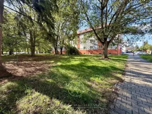 Pronájem bytu 1+1, Plzeň, Kyjevská, 28 m2