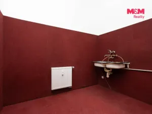 Prodej obchodního prostoru, Praha, Trnkovo náměstí, 324 m2