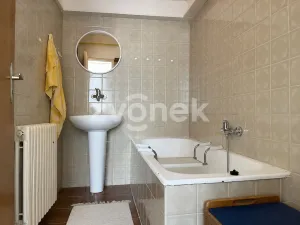 Prodej rodinného domu, Ostrožská Nová Ves, Nová, 387 m2
