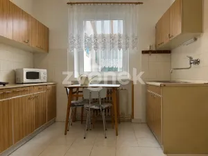 Prodej rodinného domu, Ostrožská Nová Ves, Nová, 387 m2