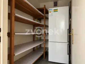 Prodej rodinného domu, Ostrožská Nová Ves, Nová, 387 m2