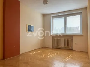 Prodej rodinného domu, Ostrožská Nová Ves, Nová, 387 m2