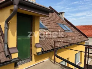 Prodej rodinného domu, Ostrožská Nová Ves, Nová, 387 m2