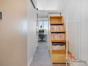 Prodej bytu 1+kk, Brno - Staré Brno, Náplavka, 18 m2