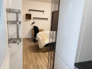 Prodej bytu 1+kk, Kladno - Kročehlavy, Litevská, 27 m2