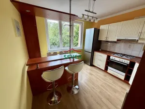 Prodej bytu 1+1, Louny, Kpt. Nálepky, 36 m2
