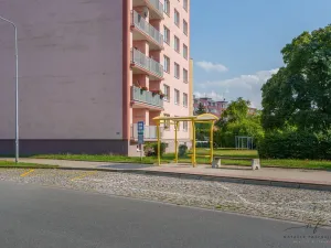 Prodej bytu 2+1, Cheb, Matěje Kopeckého, 60 m2