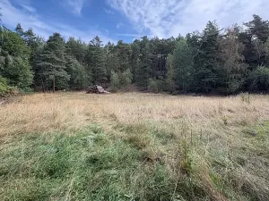Prodej pozemku pro bydlení, Vlčatín, 56720 m2