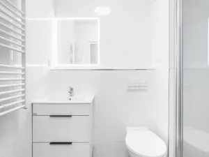 Pronájem bytu 1+1, Hlučín, Severní, 40 m2