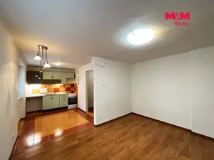 Pronájem bytu 1+1, Plzeň - Jižní Předměstí, Raisova, 30 m2