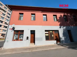 Pronájem komerční nemovitosti, Štětí, 20 m2