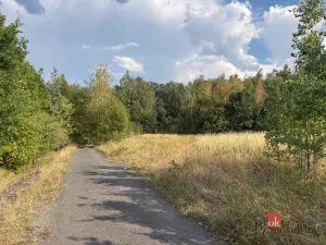 Prodej komerčního pozemku, Plzeň - Černice, Písecká, 4386 m2