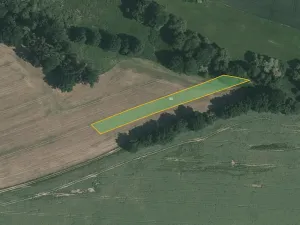 Prodej pole, Přehořov, 13100 m2