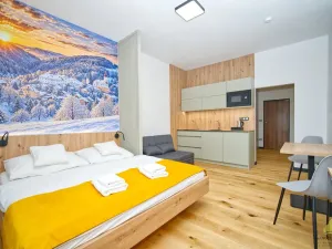 Prodej bytu 1+kk, Branná, 22 m2