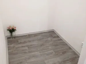 Pronájem bytu 2+1, Ostrava - Hrabůvka, Plzeňská, 55 m2
