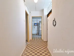 Pronájem bytu 5+kk, Havířov, Rodinná, 140 m2