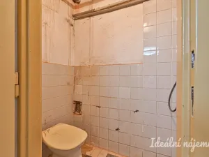 Pronájem bytu 5+kk, Havířov, Rodinná, 140 m2
