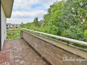 Pronájem bytu 5+kk, Havířov, Rodinná, 140 m2