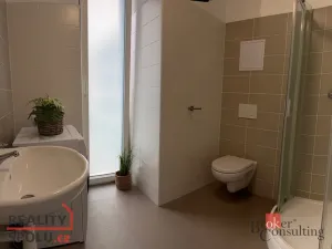 Pronájem bytu 1+kk, Plzeň - Újezd, Diamantová, 30 m2