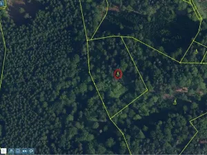 Prodej lesa, Železný Brod - Bzí, 23153 m2