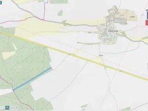 Prodej lesa, Štichovice, 14637 m2