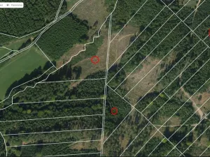 Prodej lesa, Jevíčko, 70821 m2