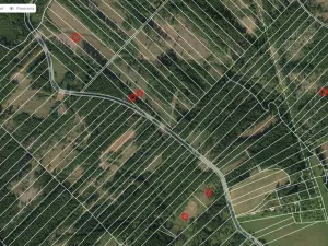Prodej lesa, Jevíčko, 70821 m2