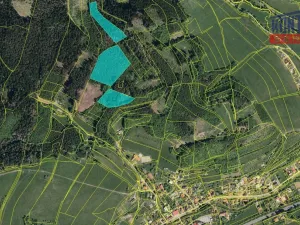 Prodej lesa, Liptál, 27178 m2