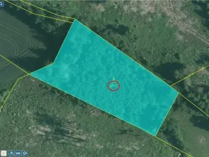 Prodej lesa, Studená - Horní Pole, 20620 m2