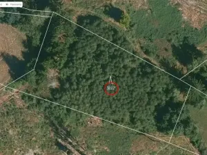 Prodej lesa, Studená - Horní Pole, 20620 m2