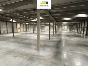 Pronájem výrobních prostor, Ostrava - Kunčičky, Rajnochova, 34895 m2