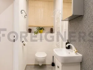 Pronájem bytu 1+kk, Praha - Žižkov, Jeronýmova, 32 m2